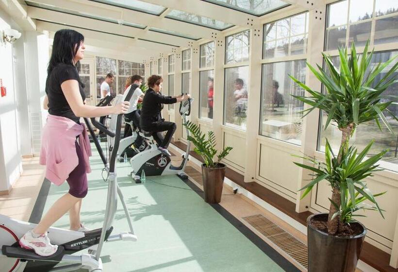 리조트 Jan Kazimierz