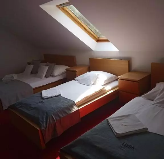 Aamiaismajoitus (B&B) Lusia