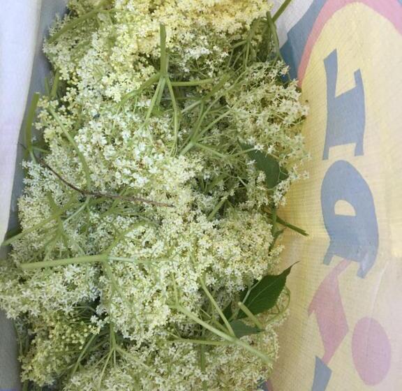 住宿加早餐 Satnatorium