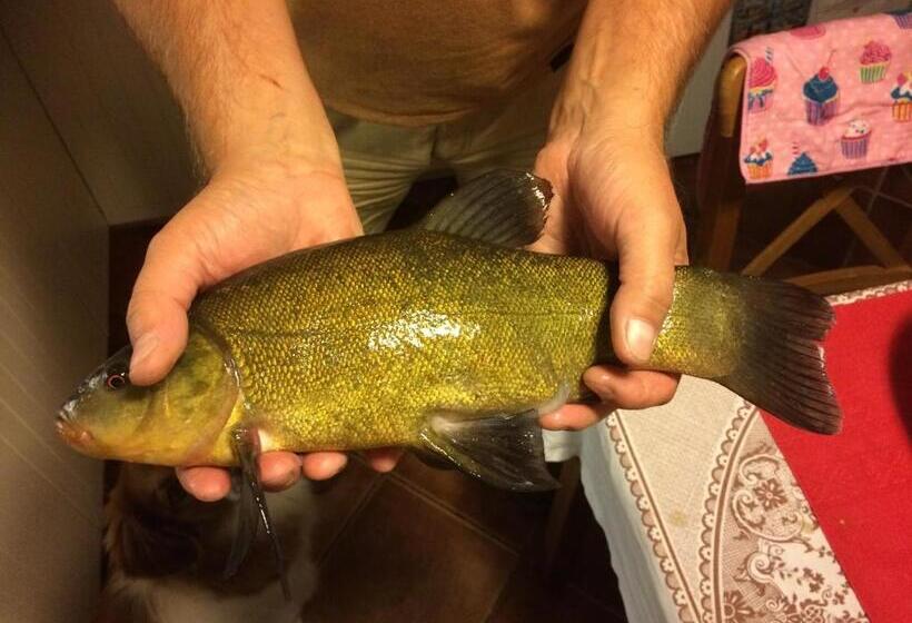 住宿加早餐 Satnatorium