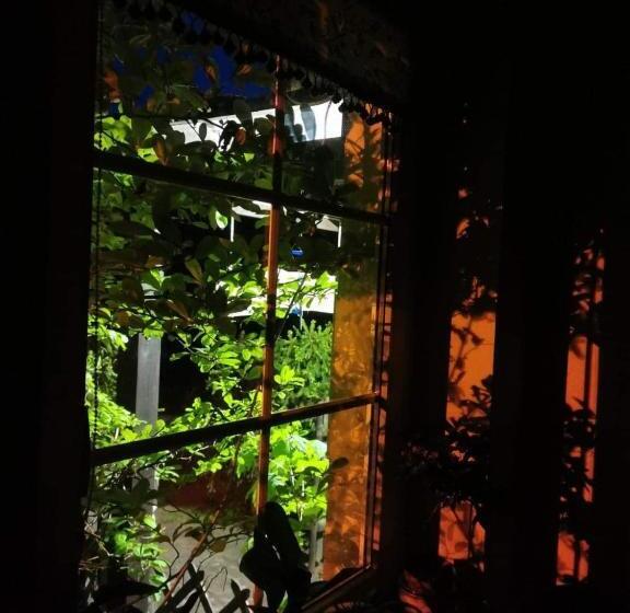 住宿加早餐 Satnatorium