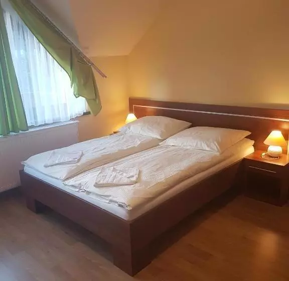 Aamiaismajoitus (B&B) U Andzi