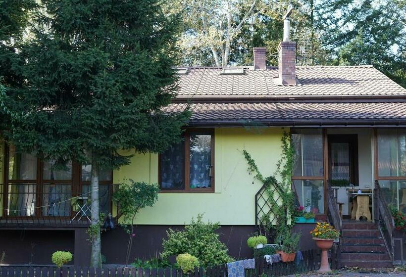 Szálloda Agroturystyka Czerwone Maki 2 łazienki 5 Pokoi Kuchnia   Noclegigrodziskpl 792 535 535