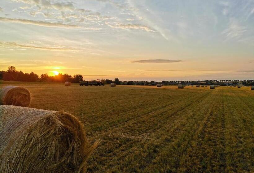 호텔 Agroturystyka Klęk