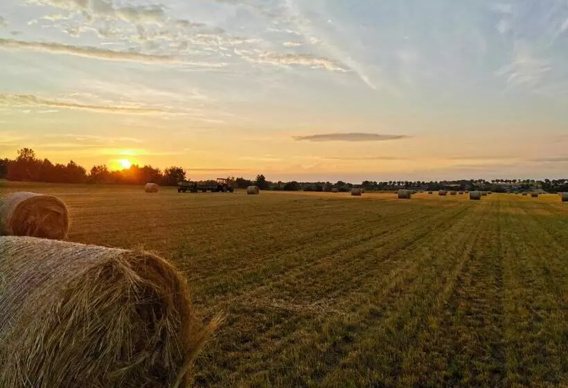 ホテル Agroturystyka Klęk