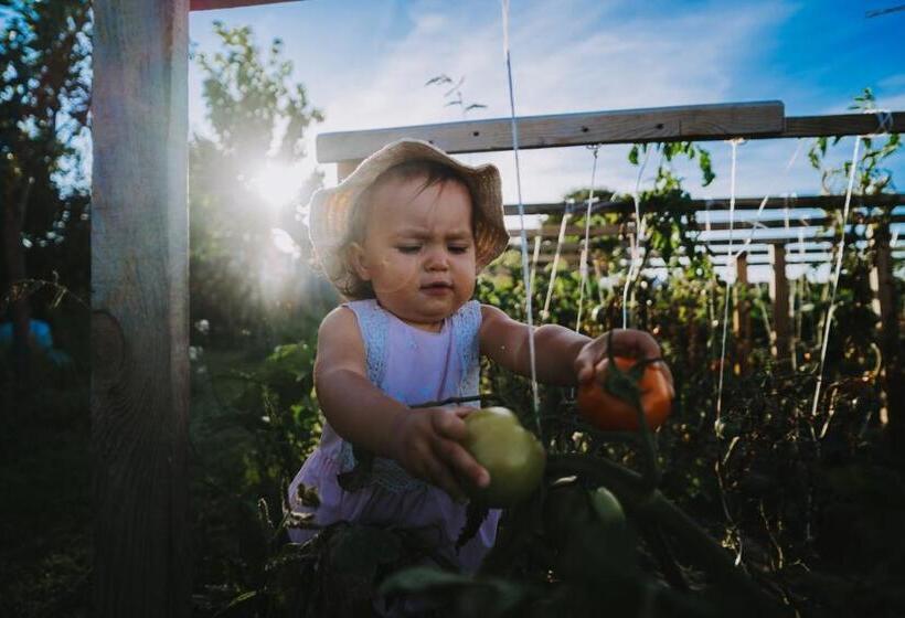 בית מלון כפרי Agroturystyka Sielanka