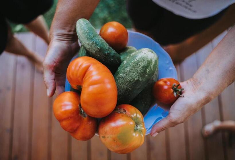 בית מלון כפרי Agroturystyka Sielanka