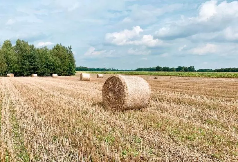 ホテル Agroturystyka Sielanka