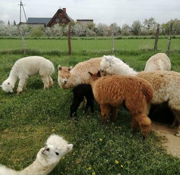 ホテル Alpaka Ranczo Aff