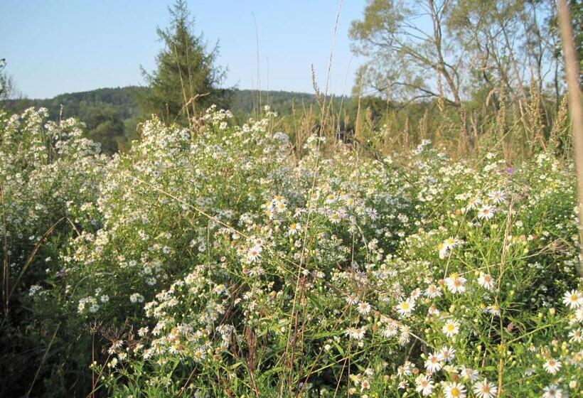 호텔 Chata Pod Kamieniem