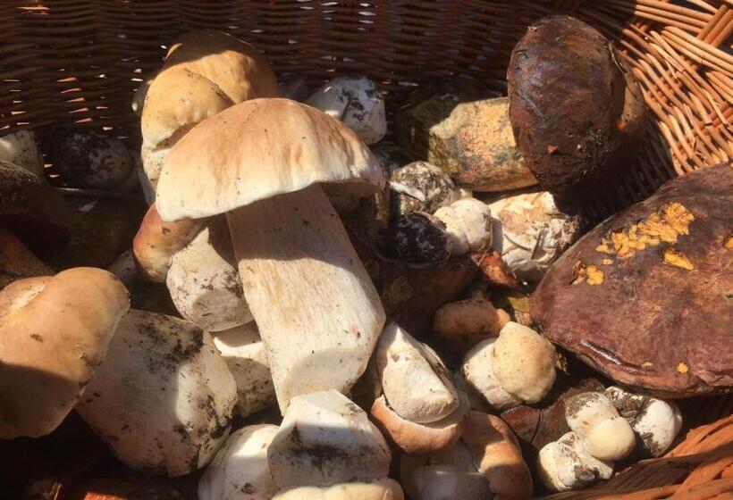 호텔 Chata Pod Kamieniem