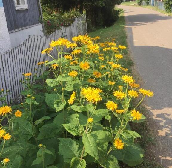 호텔 Chata Pod Kamieniem