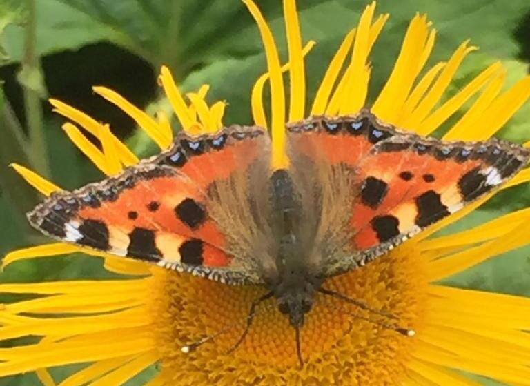 호텔 Chata Pod Kamieniem