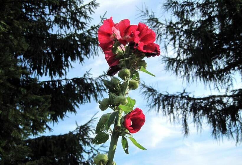 호텔 Chata Pod Kamieniem