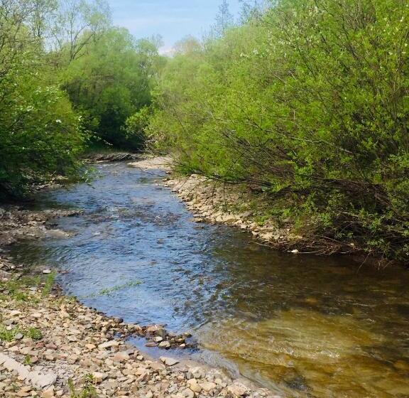 호텔 Chata Pod Kamieniem