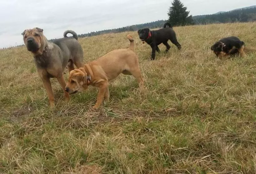 ホテル Dom Na Rozdrożu
