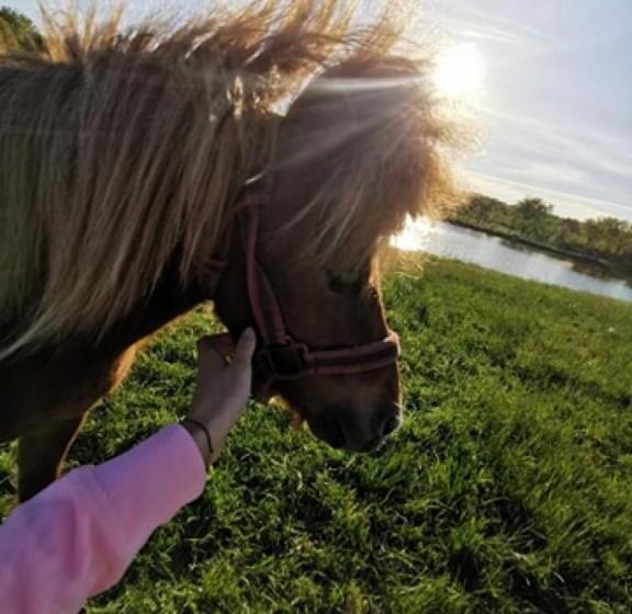 فندق Dom Nad Rozlewiskiem