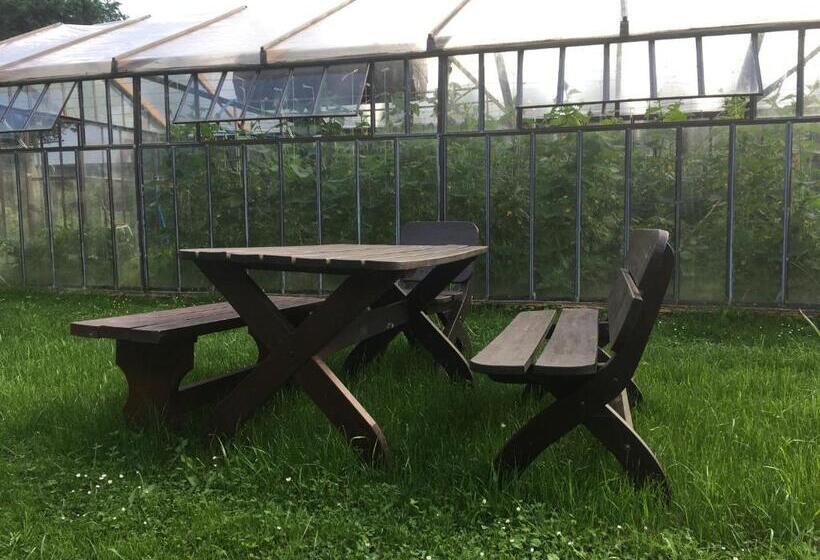 Отель Marysieńka