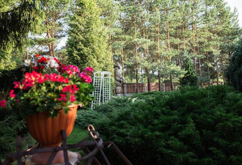 酒店 Noclegi Ciesiul