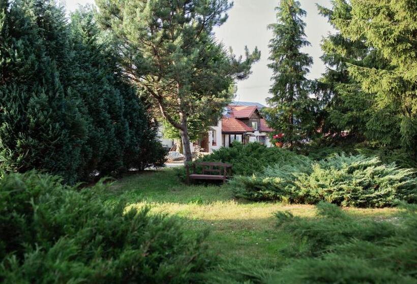 酒店 Noclegi Ciesiul