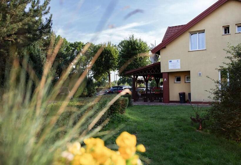 酒店 Noclegi Ciesiul