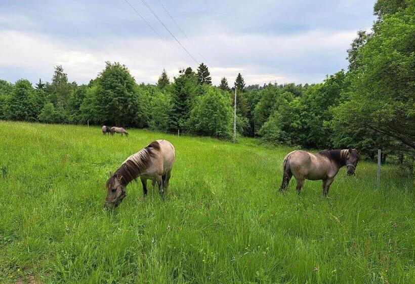 ホテル Sudecka Chata