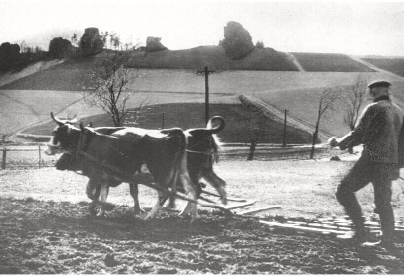 ホテル Sudecka Chata