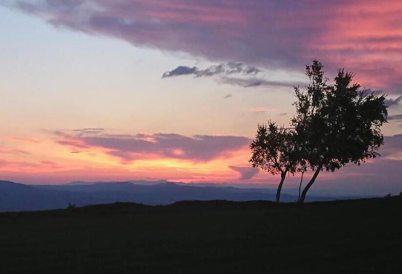 ホテル Sudecka Chata