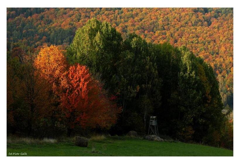 ホテル Sudecka Chata