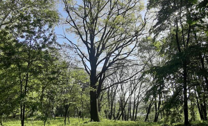 리조트 Pałac Kwilecki Agroturystyka Premium & Spa