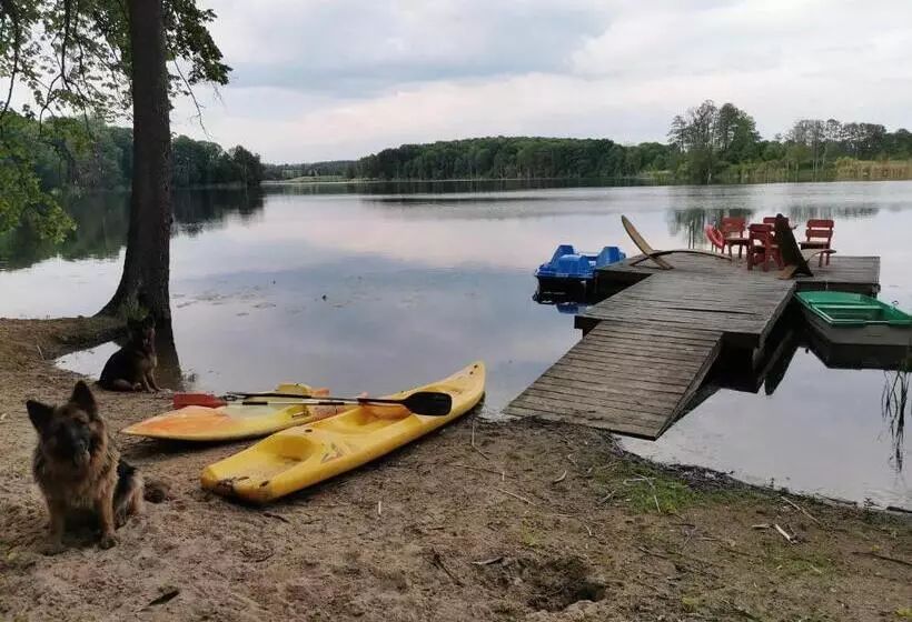Lomakeskus Pałac Kwilecki  Agroturystyka Premium & Spa