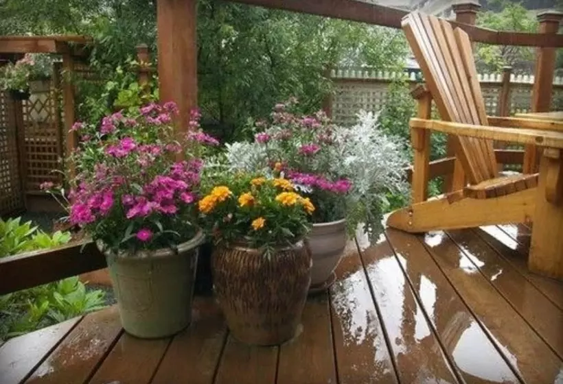 Alaska's Capital Inn Bed And Breakfast