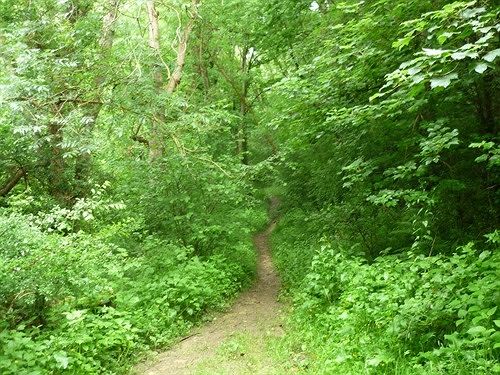 مبيت وإفطار Argyll Cottage