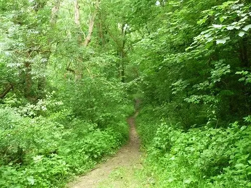 مبيت وإفطار Argyll Cottage