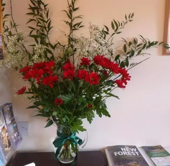 住宿加早餐  Beech Lodge Guest House