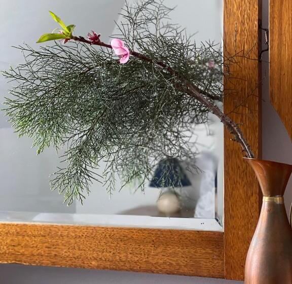 Bed and Breakfast Cambridge House