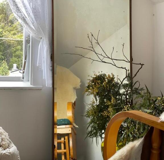 Bed and Breakfast Cambridge House