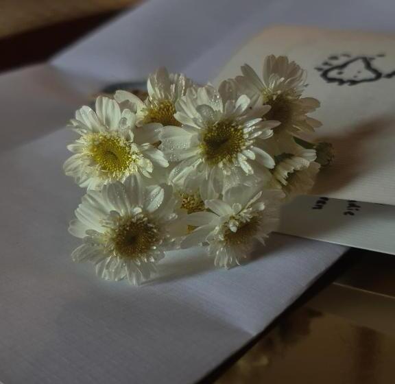 Bed and Breakfast Cambridge House