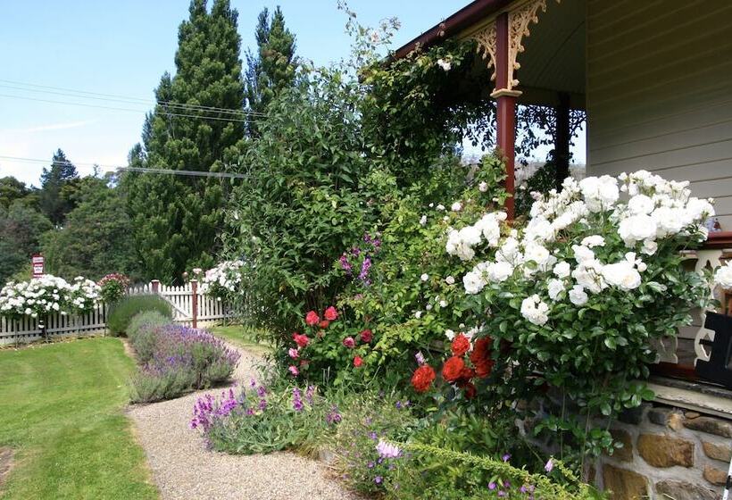 Bed and Breakfast Cambridge House