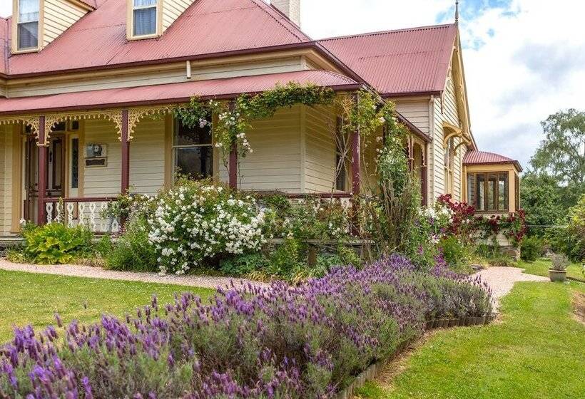 Bed and Breakfast Cambridge House