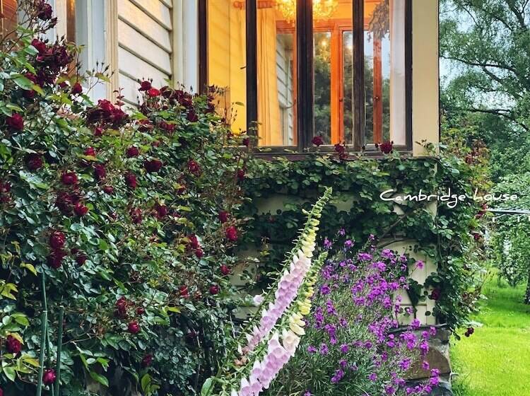 Bed and Breakfast Cambridge House