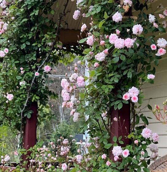 Bed and Breakfast Cambridge House