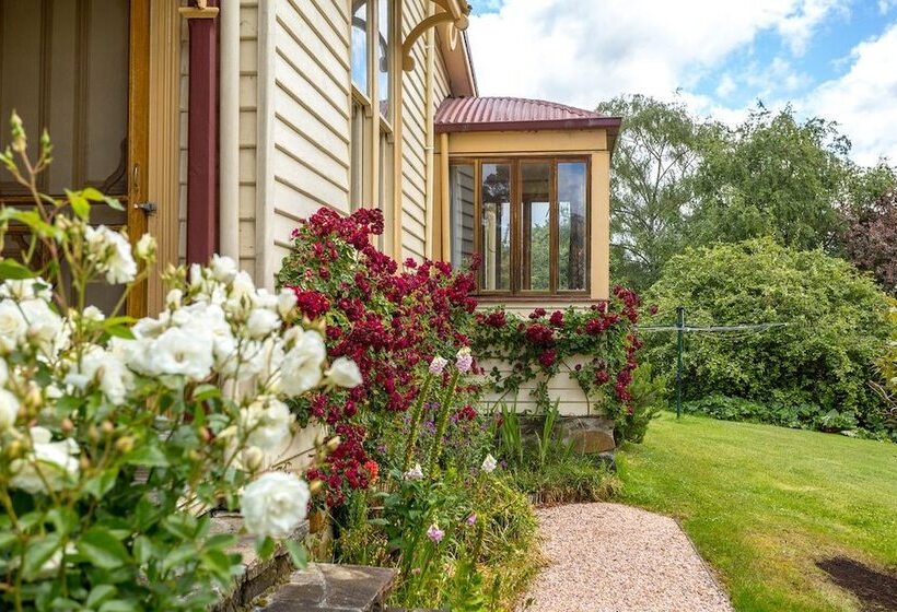 Bed and Breakfast Cambridge House