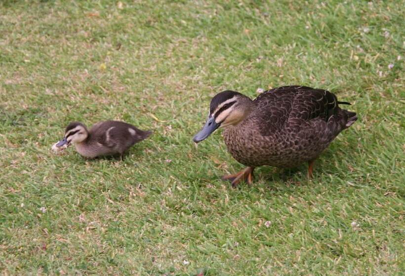 Bed and Breakfast Cambridge House