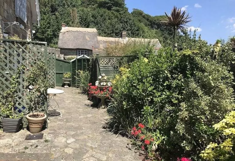 ベッドアンドブレックファースト Koala Cottage