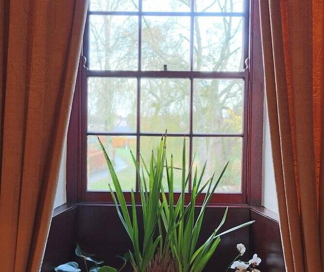 ベッドアンドブレックファースト Stafford House Guest House