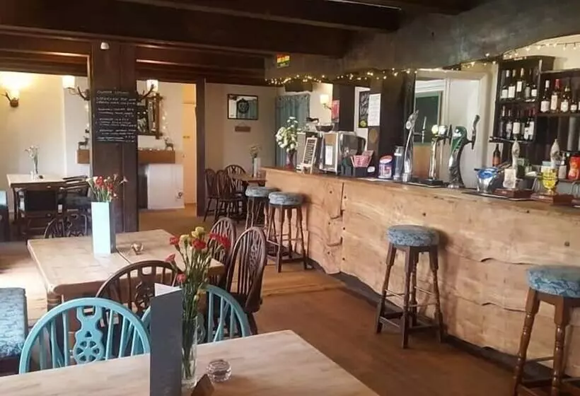 צימר The Flying Fish Stables