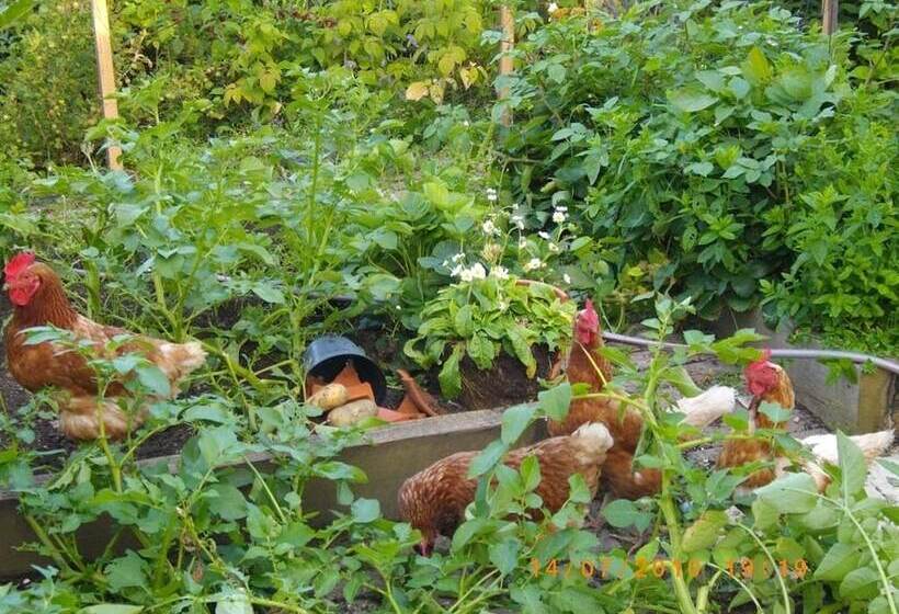 Birch House Bed & Breakfast