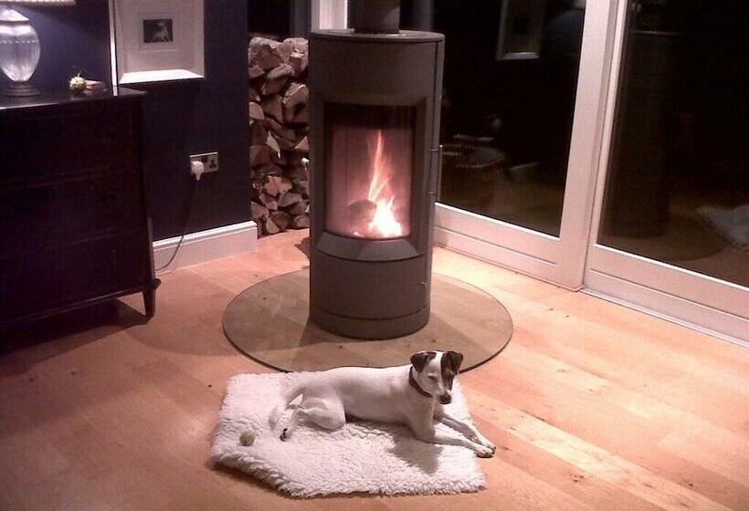 Birch House Bed & Breakfast