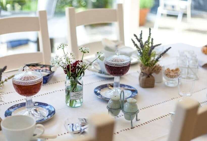 Birch House Bed & Breakfast